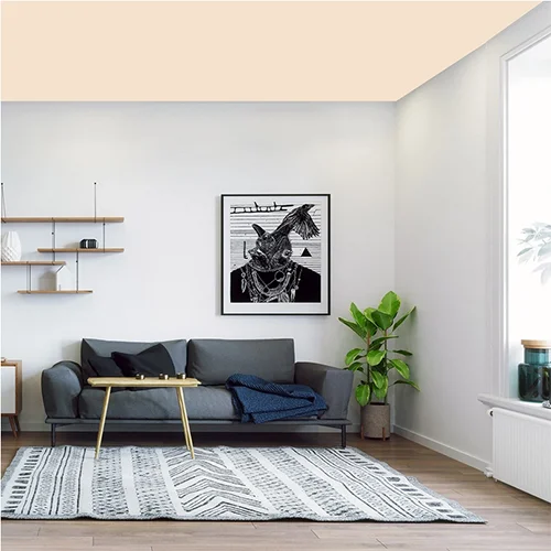 BIBOYA-ACIBADEM-TAVAN-BOYASI-2