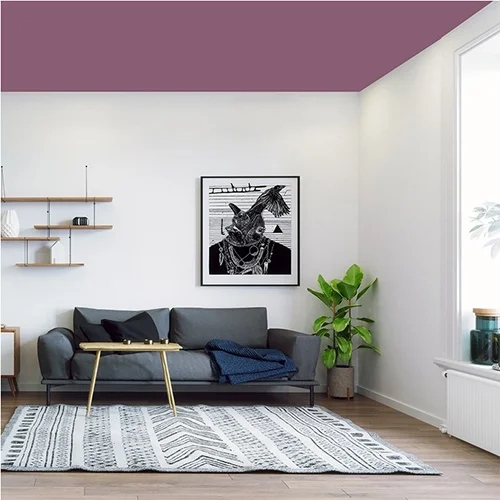 BIBOYA-AHUDUDU-TAVAN-BOYASI-3.5-10-KG-2