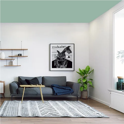 BIBOYA-CAGLA-TAVAN-BOYASI-3.5-10-KG-2