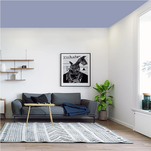 BIBOYA-CAN-CICEGI-TAVAN-BOYASI-3