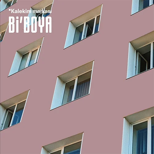 BIBOYA-SILIKONLU-4504-DIS-CEPHE-BOYASI-2.5-KG-2