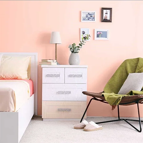 BIBOYA-TURUNCU-NAR-CICEGI-CEPHE-BOYASI-2.5-LT-2