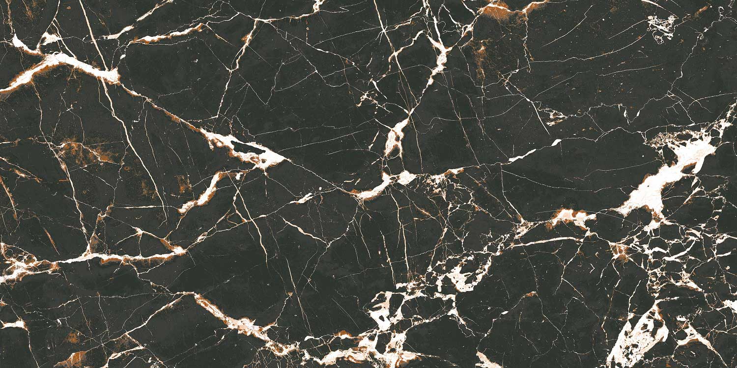 Fiesta-Black-60x120-1-2