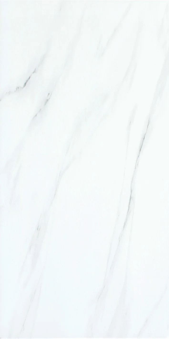 Onice-Gri-Full-Lappato-45x90-1-2