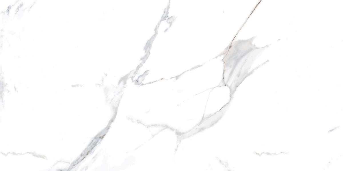 VENATO-GREY-60x120-1-2