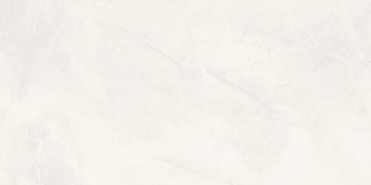 VIVA-BONE-60x120-1-2