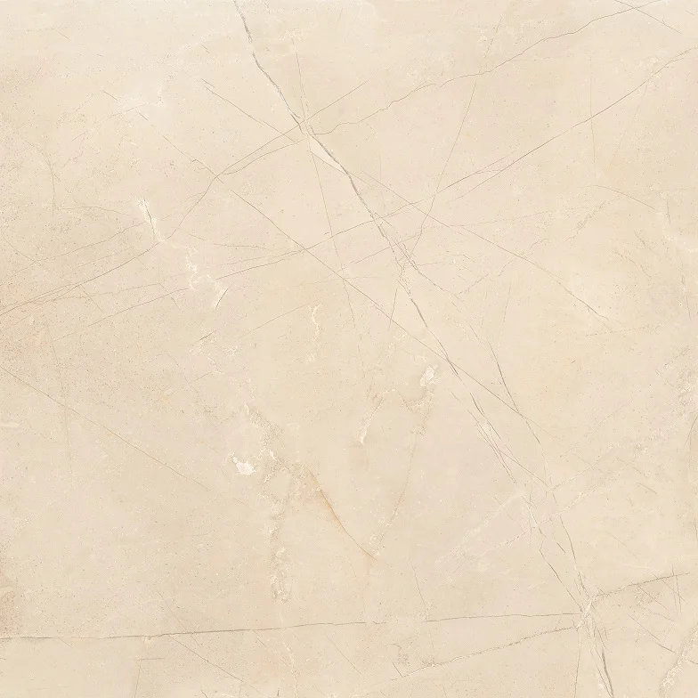 forza-bone-60x60-1-2