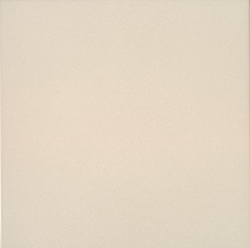 nevada-bone-50x50-1-2