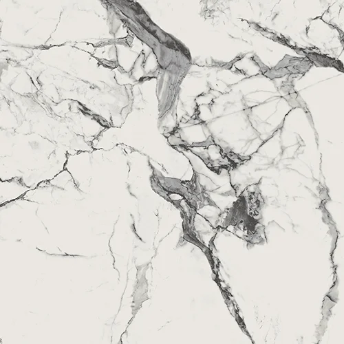 newport-digi-rec-100100-2