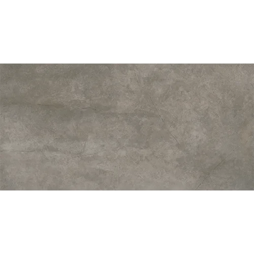 pompeisilver-60x120-1-2