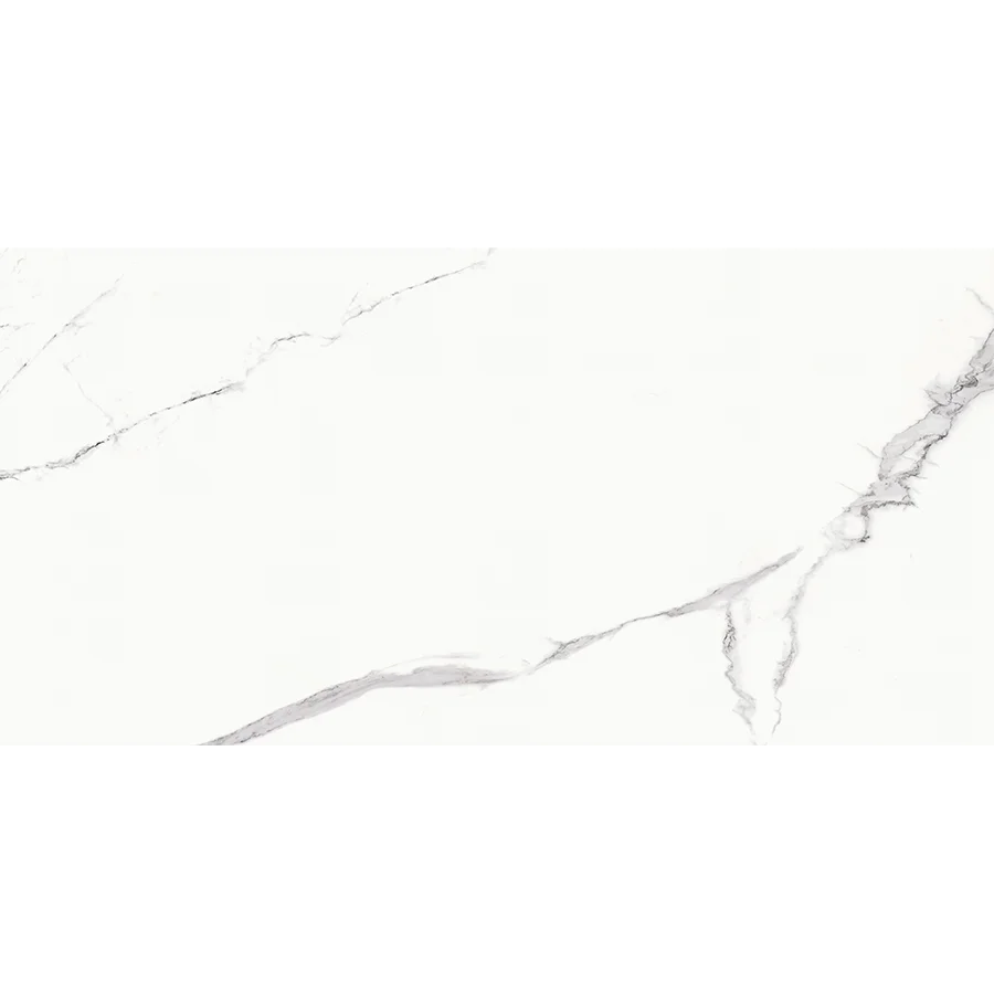 statuario-goya-60x120-face-2-fullpolish-y4-2