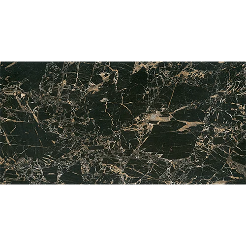 tigerblackface-60x120-1-2